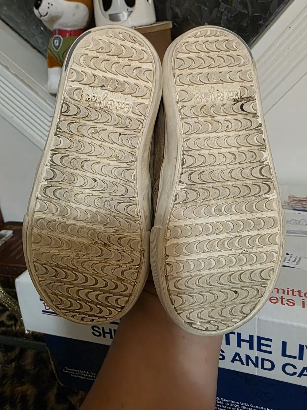 Boys Slip-On Casual Shoes in Brown